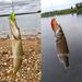 VTAVTA 5pcs/lot Mini Wobblers Pike Fishing Lure Set 36mm 3.6g Crankbait Minnow Lure Hard Artificial Bait With Fishing Tackle Box_desvips.com