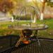 Outdoor Stainless Steel Toast Rack - 4-Slice Foldable Camping Grill For Bread & BBQ Picnic Cookware Set_desvips.com