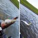 WALK FISH 3Pcs 180mm 18g Soft Fishing Lure Floating Drop Shotting V-shape Split Tail Swimbait Worm Freshwater Sea Fishing Bass_desvips.com