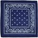 LazyZoom Direct Magic Outdoor Sports Scarf Polyester Paisley Headband Cycling Mask_desvips.com