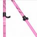 Asgard Outdoor Powder Walking Sticks Aluminum Alloy Multi-Functional Ski Poles_desvips.com