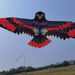Kelin Board Eagle Kite Weifang New Model Breeze Easy To Fly High-end Extra Large For Children And Adults_desvips.com