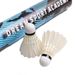 Cross-border Durable Training Adults, Suitable For Indoor Outdoor Entertainment And Competition, Wholesale Badminton_desvips.com