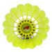 Red Double Happiness DHS Durable Training Nylon Badminton Plastic Rubber Practice Shuttlecocks 6-Pack Yellow EG60Y_desvips.com