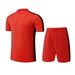 Quick Drying Children's Football Suit Set, Adult Team Jerseys, Printed Volleyball And Badminton Uniforms, Competition_desvips.com