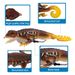 Lure Bait New Floating Water System Silicone Simulation Gecko Soft Bait 13.5cm21g With Three Hooks To Attack Black Fish Bait_desvips.com