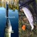 TREHOOK 5pcs Sinking Wobbler Set Crankbaits Fishing Kit Artificial Bait Hard Lure Swimbait Pike Wobblers For Bass Fishing Tackle_desvips.com