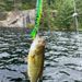 13.5cm 19g Sinking Multi-Section Lure Bait Minnow Cheap New Model Fishing Gear_desvips.com