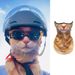 Cycling Face Mask Cycling Sunscreen Mask Orange Cat Summer Funny Veil Animal Face Towel Cat Ear Hanging Integrated Protective Mask Neck Guard_desvips.com