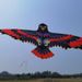 Kelin Board Eagle Kite Weifang New Model Breeze Easy To Fly High-end Extra Large For Children And Adults_desvips.com
