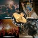 VixxNoxx Professional Copper Finger Cymbals - 3.5inch 9cm Mini Percussion For Belly Dance, Orff Instruments And Live_desvips.com