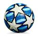 No. 5 Seamless Leather Football For Champions League Matches And Youth Training_desvips.com
