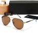 New Men's Polarized Fashion Driving Leisure Travel Toad Glass Sunglasses 8755_desvips.com