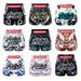 2025 New Multi-Color Muay Thai Boxing Competition Training Sanda Clothing Wholesale Shorts European Size Multiple Styles_desvips.com