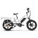 JOBOBIKE Transer Electric Cargo Bike For Family,48V 15Ah Battery_desvips.com