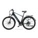 PURE UNICORN U3 Electric Mountain Bike 29'' All-Terrain E-Bike 750W 48V12.8AH Battery_desvips.com