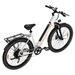 WITAMBIKE W28 Commuter E-Bicycle – 250W Motor 36V 20Ah Removable Battery_desvips.com