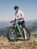 DUOTTS E26 2025 Electric Mountain Bike 750W Motor 48V 20Ah Battery 26" Fat Tire All-Terrain E-Bike Hydraulic Brakes 120km Range IP65 Waterproof CE_desvips.com