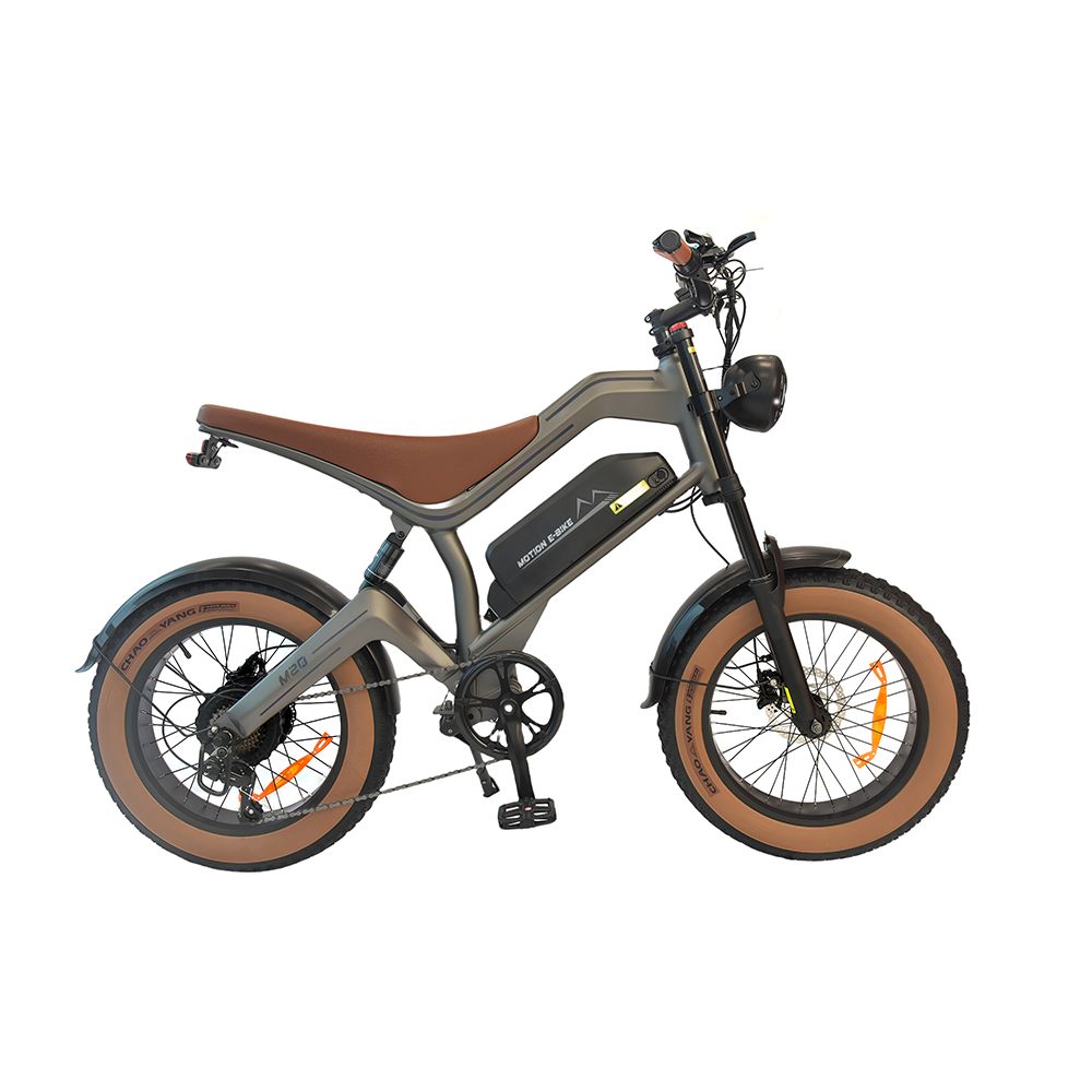 DYU M20 Electric Dirt Bike 20inch With 48V 18.2AH Battery_desvips.com
