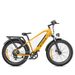 ENGWE E26 Dual Suspension All-Terrain E-bike 250W,48V 16AH _desvips.com