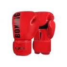 Boxing Gloves_desvips