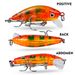 Plastic Hard 3.6g Floating Minnow 5cm Lure Rock Bionic Bait Fishing Gear DW1259_desvips.com