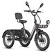 FAFREES F20 Mate II Electric Tricycle, 48V 21Ah Battery,Hydraulic Disc Brakes,Front & Rear Baskets_desvips.com