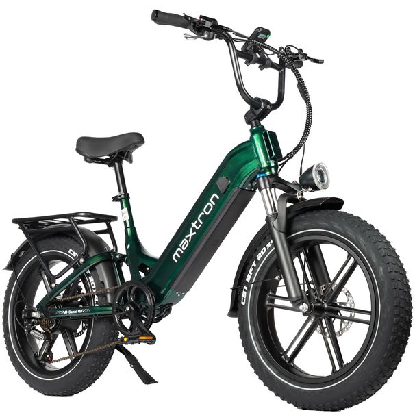 Maxtron Camel Electric Bike For Adults,48V 18AH Removable Battery,Full Suspension_desvips.com