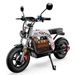 iScooter DX5 Pro Electric Scooter With Storage,52V 20Ah Battery, 17” Off-Road Tires_desvips.com