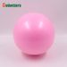 25cm Frosted Explosion-proof Yoga Ball Pilates Small Ball Yoga Wheat Straw Ball Fitness Ball_desvips.com