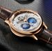 SEAKOSS Luxury Double Earth Rotating Men's Mechanical Watch Automatic Movement Waterproof Clock Pilots Men 1963 Flywheel_desvips.com