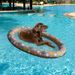 Inflatable Dog Float PVC Pet Pool Lounger With Safety Rope Summer Waterbed For Dogs Cats Floating Pet Bed For Lake Beach Backyard_desvips.com
