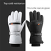 Professional Grade Ski Windproof Waterproof Outdoor Sports Riding Electric Car Winter Touch Screen Thickened Warm Gloves_desvips.com