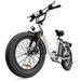 URLIFE E20 Commuting Electric Bike 250W Motor 48V 13Ah Battery_desvips.com