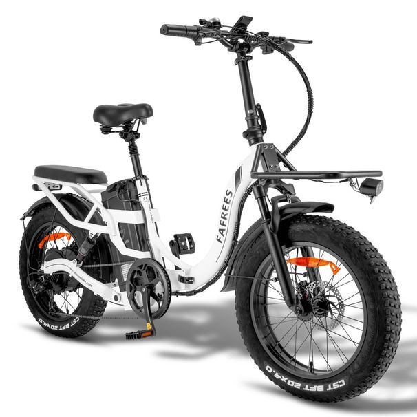 Fafrees F20 X-Max Electric Bike 20*4.0 Inch Fat Tire 750W Brushless Motor 48V 30AH Battery_desvips.com