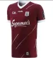 23 24 GAA Jerseys WEXFORD TIPPERARY GALWAY DUBLIN Gaelic Football Jersey 2023 2024 LIMERICK CAVAN KERRY TYRONE MAYO_desvips.com