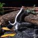 Aluminum Alloy Slingshot, Ergonomic Slingshot, 13*8.3*3 Cm. Suitable For Outdoor Competitions, Fitness Shooting, Hunting, Fishing, And Games._desvips.com