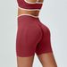 Women's High-Waisted Seamless Yoga Shorts Hip Lifting Color-Block Shaping Quick-Drying Elastic Breathable Fitness Pants_desvips.com