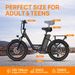 URLIFE E20 Electric Bicycle For Adults 1000W Motor E-Bike 48V 13AH 20 Inch Tires City Commuter Electric Bike_desvips.com
