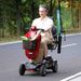Sweetrich Max Plus Portable Electric Scooter, 300W Motor, 24V 20Ah, Top Speed 6 Km/h, Maximum Range 20 Km._desvips.com