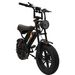 BAOLUJIE F2 Full Suspension Electric Bike, 48V 13Ah Removable Battery, 16"x4.0" Tires_desvips.com