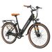 SINOHON EM300 26" City Commuter E-Bike With 36V 15.6Ah Removable Battery_desvips.com
