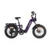 CYRUSHER Kommoda 3.0 20" Electric Cargo Bike 250W Motor 48V 20Ah Battery_desvips.com