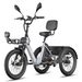FAFREES F20 Mate II Electric Tricycle, 48V 21Ah Battery,Hydraulic Disc Brakes,Front & Rear Baskets_desvips.com
