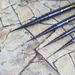 Ultralight Telescopic Rod Carbon Fiber Stream Lake Hand Pole Carp Feeder Portable Fishing Rods Tackle_desvips.com
