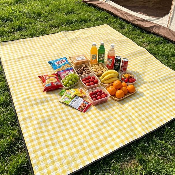 New Moisture-Proof Thickened Waterproof Portable Outdoor Camping Beach Grass Picnic Spring Outing Mat_desvips.com