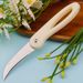 Stainless Steel Knife Peeling, Household Folding Fruit Peeling Knife, Wholesale, Portable And Handy For Home Use_desvips.com