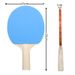 Beginner Training Simple Net Frame Set Colorful Table Tennis Racket Hot Selling PPQ_desvips.com