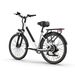 URLIFE E26 Urban Commuting Electric Bike 250W Motor 36V 13Ah Battery_desvips.com