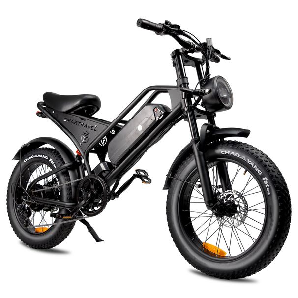 ZM-DK401 Electric Dirt Bike For Adults 20inch,48V 18.2Ah Battery_desvips.com